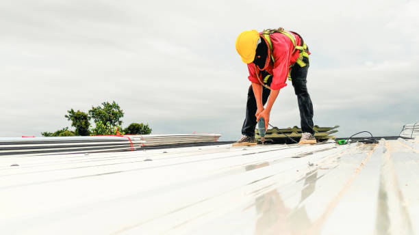 Best Roof Maintenance and Cleaning  in Port Labelle, FL
