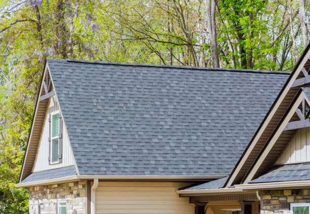 Best Solar Panel Roofing Installation  in Port Labelle, FL